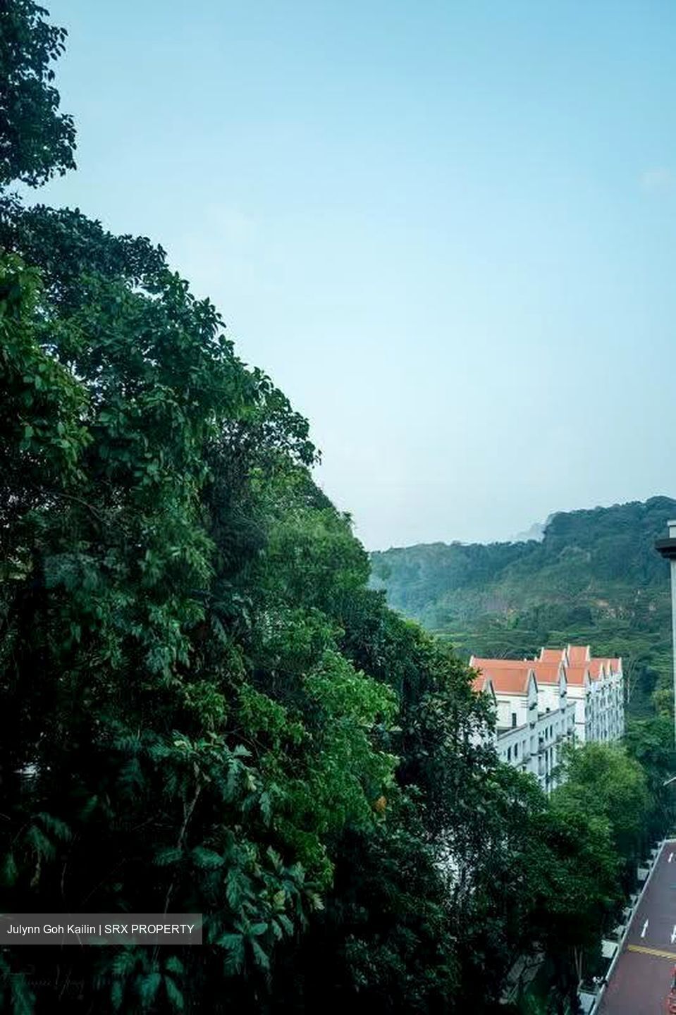 The Hillside (D21), Condominium #618987471